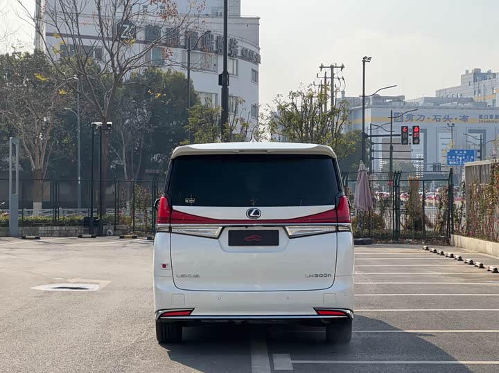 Фото 4 - Lexus LM