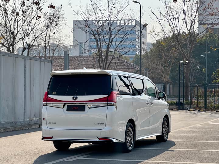 Фото 5 - Lexus LM