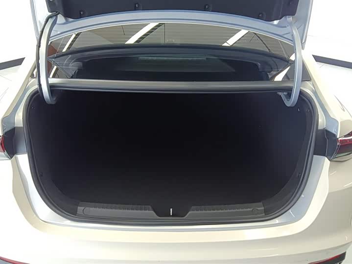 Фото 4 - GAC Trumpchi Empow R