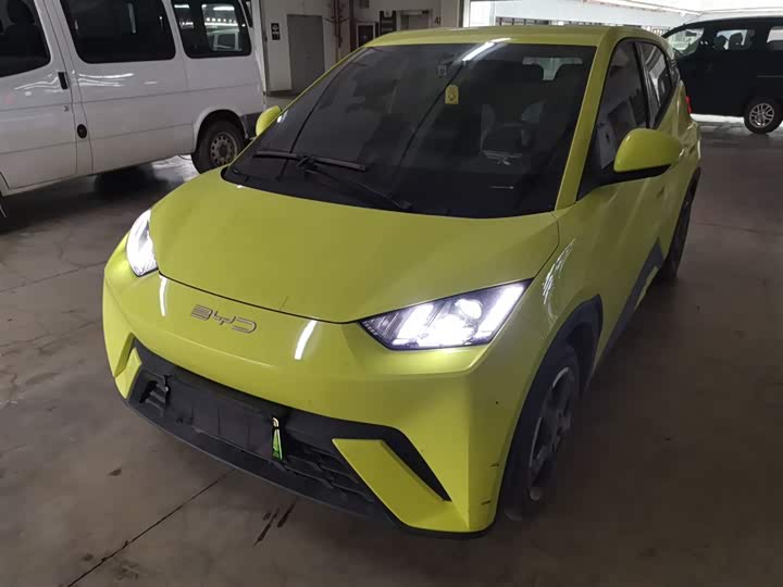 Фото 1 - BYD Seagull