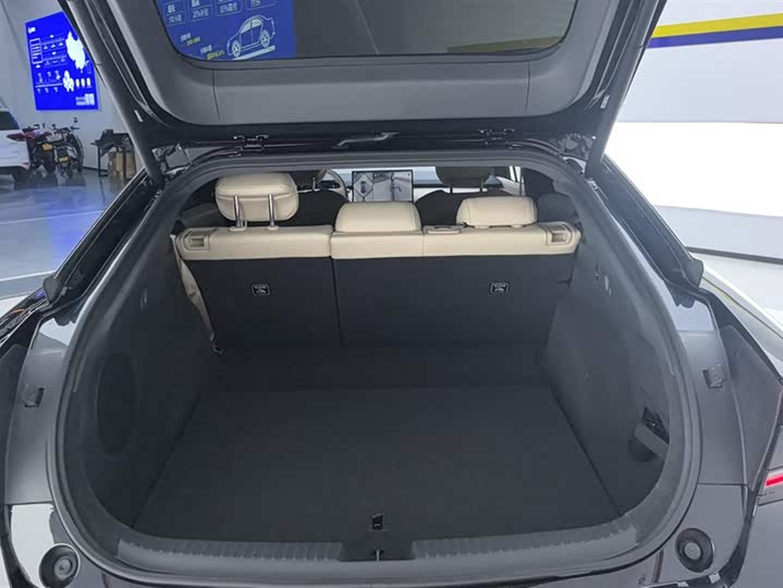 Фото 4 - XPeng F57