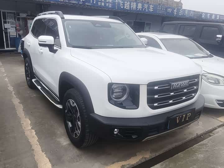 Фото 3 - Haval Dargo