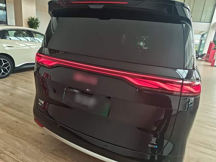 Фото 6 - BYD Xia