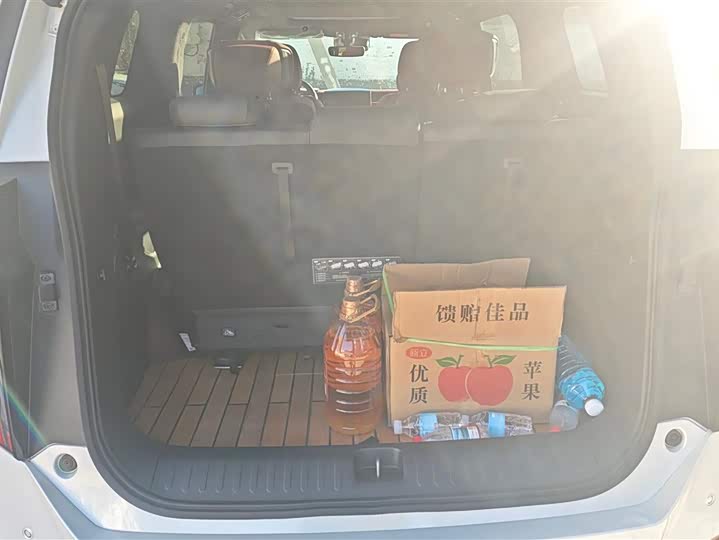 Фото 4 - GAC Trumpchi M8