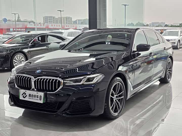 Фото 1 - BMW 5 Series Hybrid