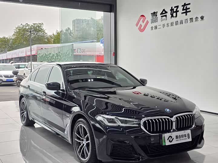 Фото 3 - BMW 5 Series Hybrid