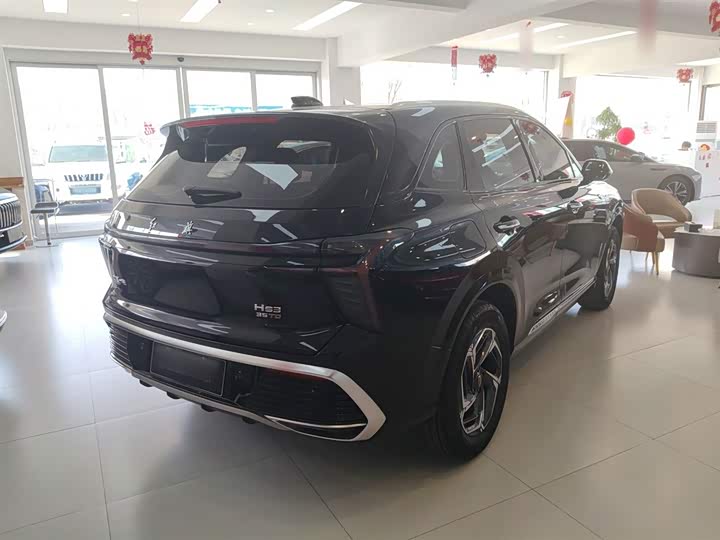 Фото 7 - Hongqi HS3