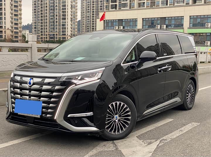 Фото 1 - Denza D9