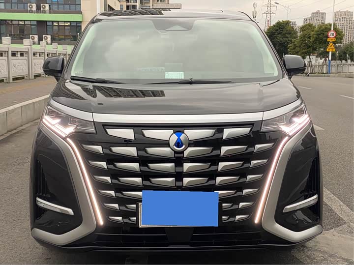 Фото 2 - Denza D9