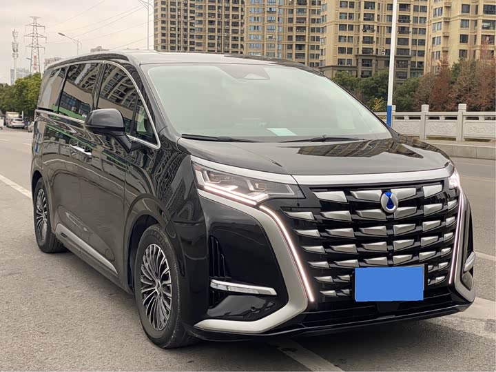 Фото 3 - Denza D9