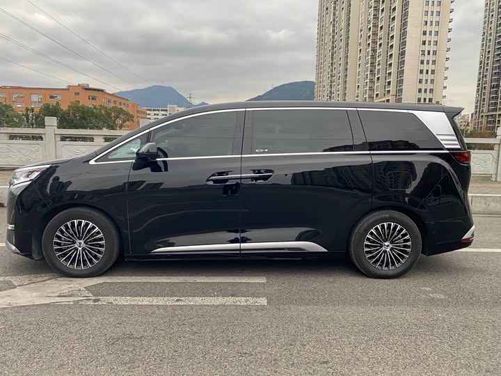 Фото 4 - Denza D9