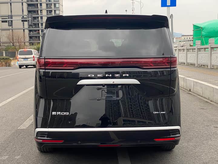 Фото 6 - Denza D9