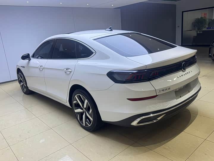 Фото 4 - Volkswagen Lamando L