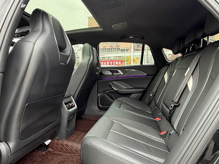 Фото 8 - Hongqi H6