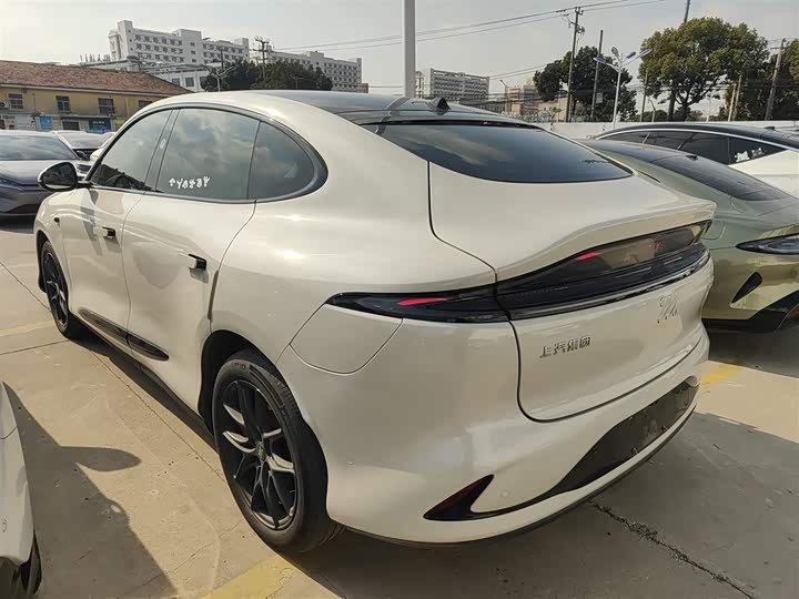 Фото 5 - IM motors LS6