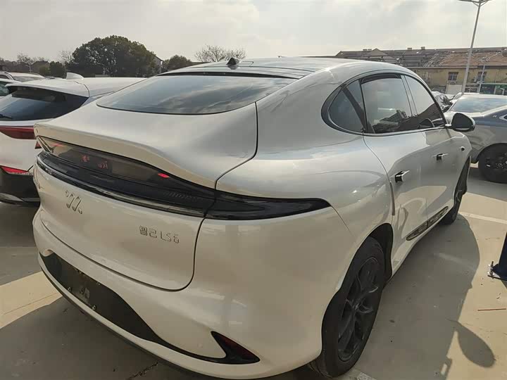 Фото 7 - IM motors LS6