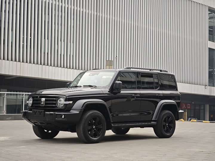 Фото 1 - Tank 300