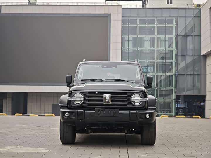 Фото 2 - Tank 300