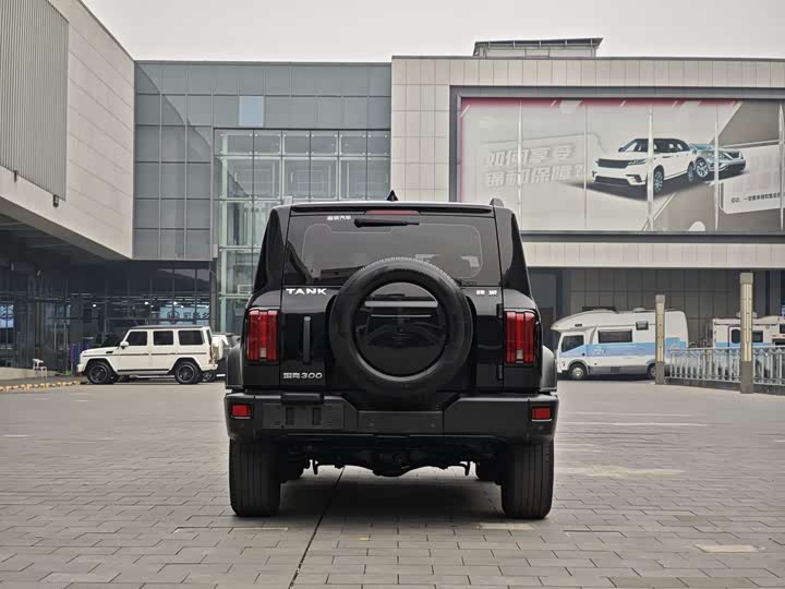 Фото 6 - Tank 300