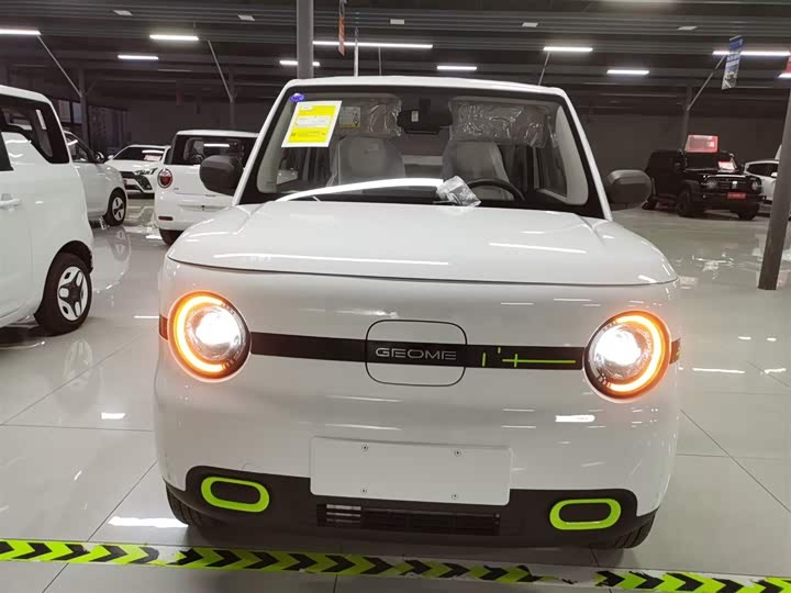 Фото 3 - Geely Galaxy Panda Mini