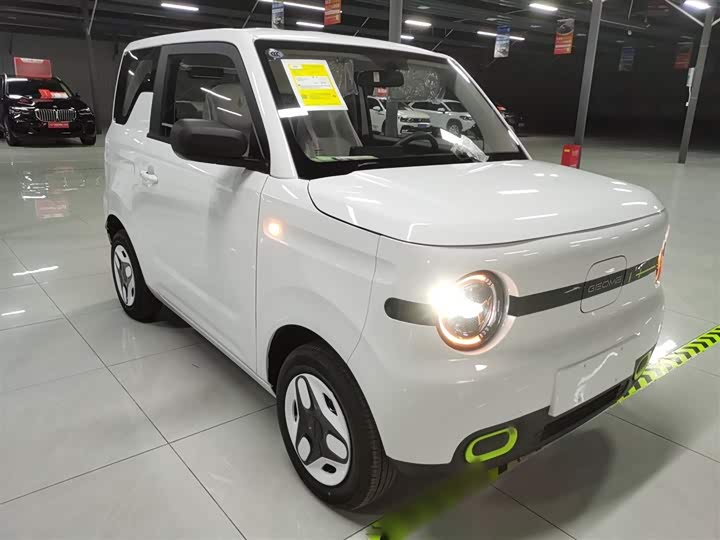 Фото 4 - Geely Galaxy Panda Mini