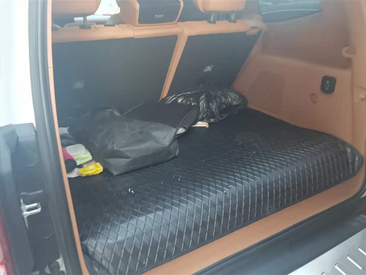 Фото 4 - Tank 500 Hybrid