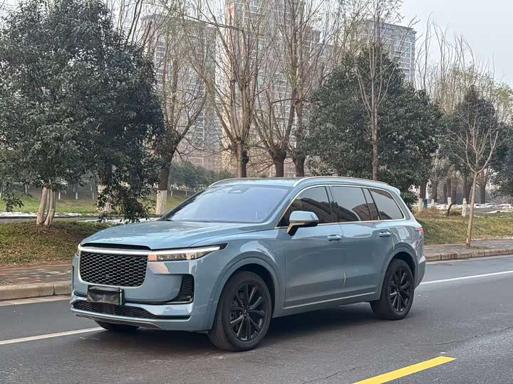 Фото 1 - LiXiang One