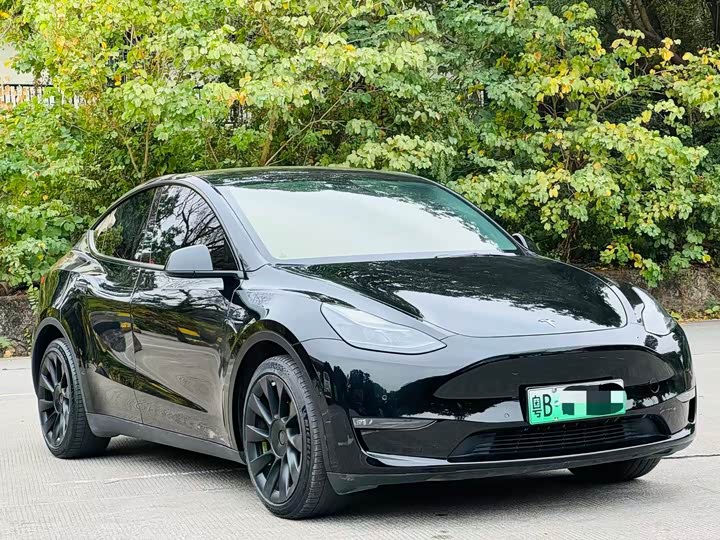 Фото 3 - Tesla Model Y