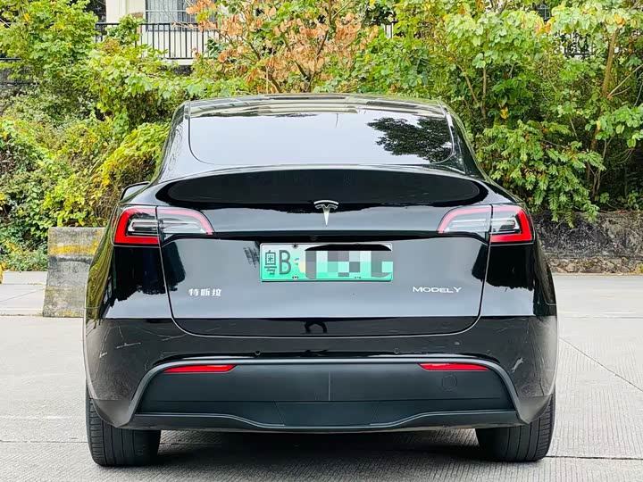 Фото 5 - Tesla Model Y