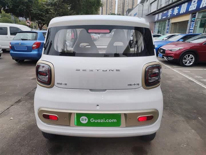 Фото 6 - Bestune Pony