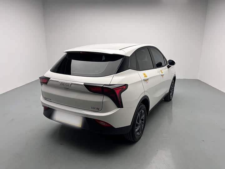 Фото 4 - Hozon V