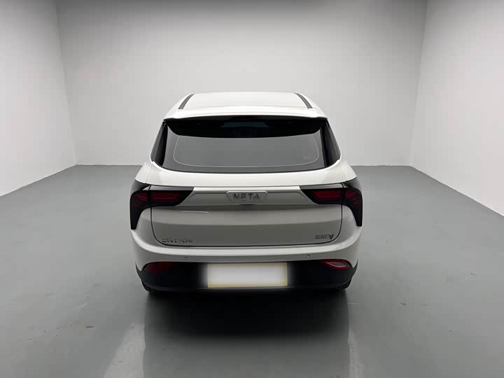 Фото 5 - Hozon V