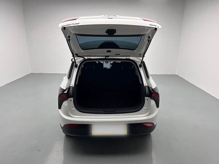 Фото 8 - Hozon V