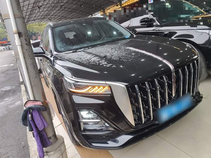 Фото 4 - Hongqi HS5