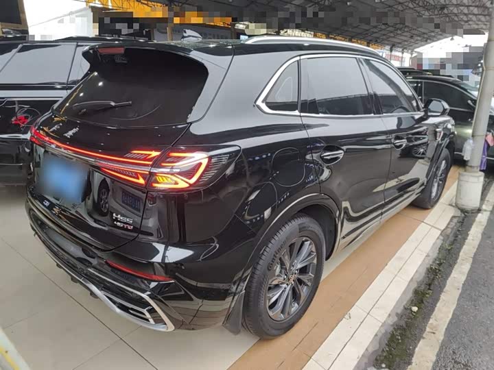 Фото 7 - Hongqi HS5