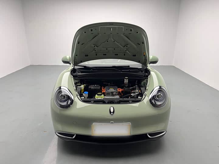 Фото 7 - Ora Good Cat (03)