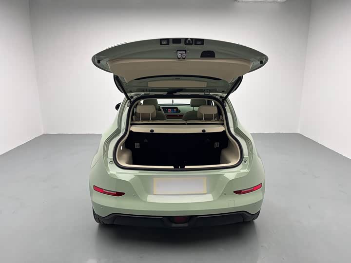 Фото 8 - Ora Good Cat (03)