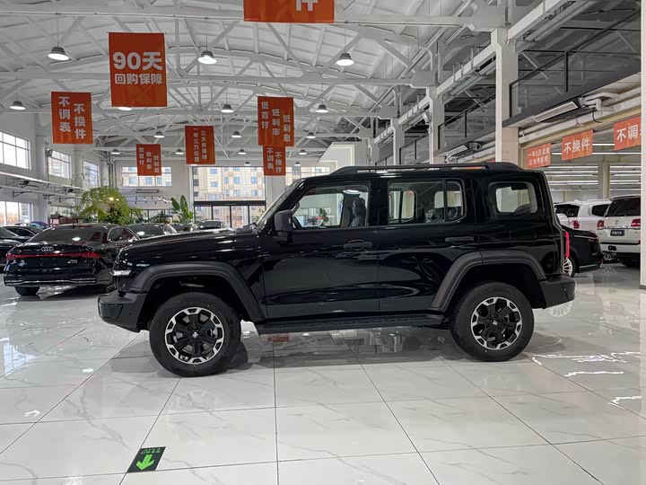 Фото 3 - Tank 300 Hybrid