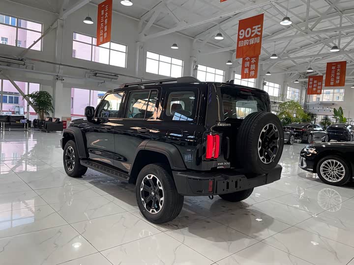 Фото 4 - Tank 300 Hybrid