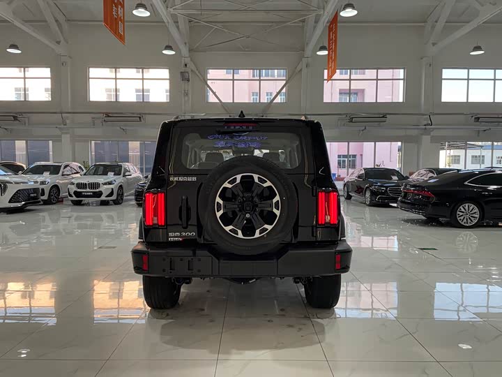 Фото 5 - Tank 300 Hybrid