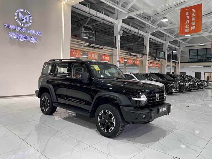 Фото 7 - Tank 300 Hybrid