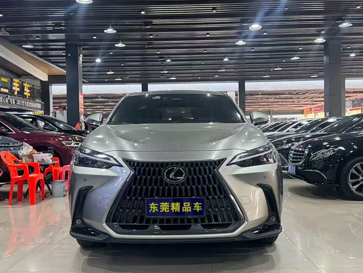 Фото 2 - Lexus NX