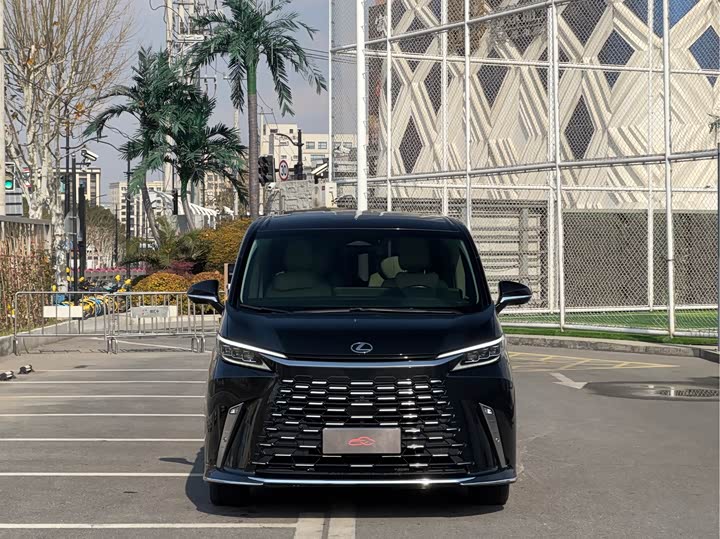 Фото 2 - Lexus LM