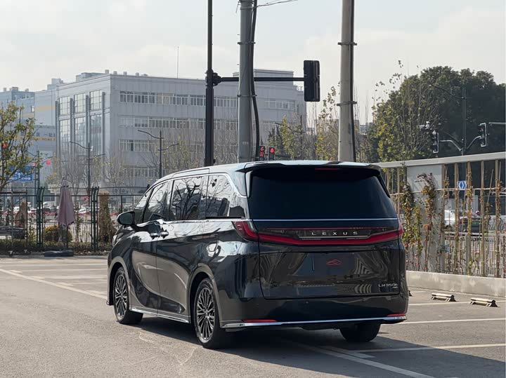 Фото 6 - Lexus LM