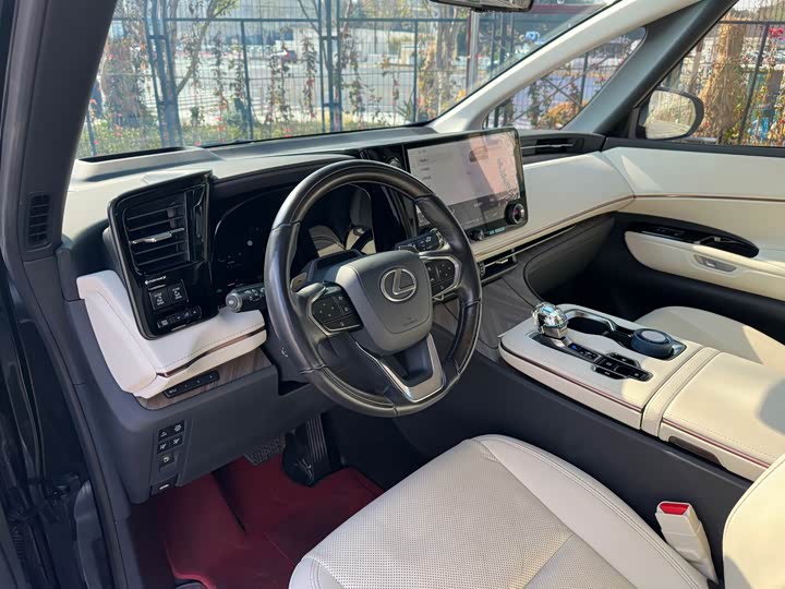 Фото 9 - Lexus LM