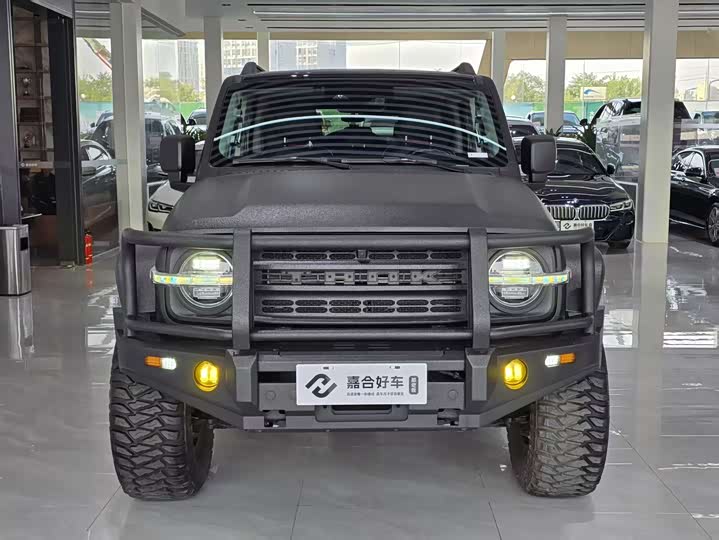 Фото 2 - Tank 300