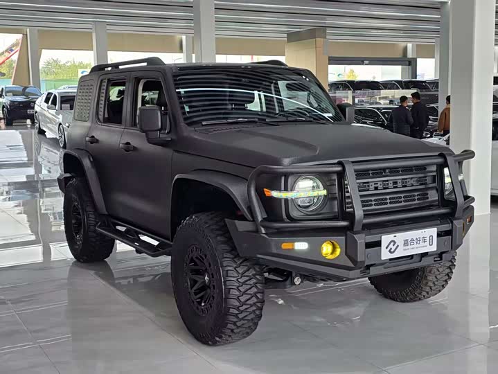 Фото 3 - Tank 300