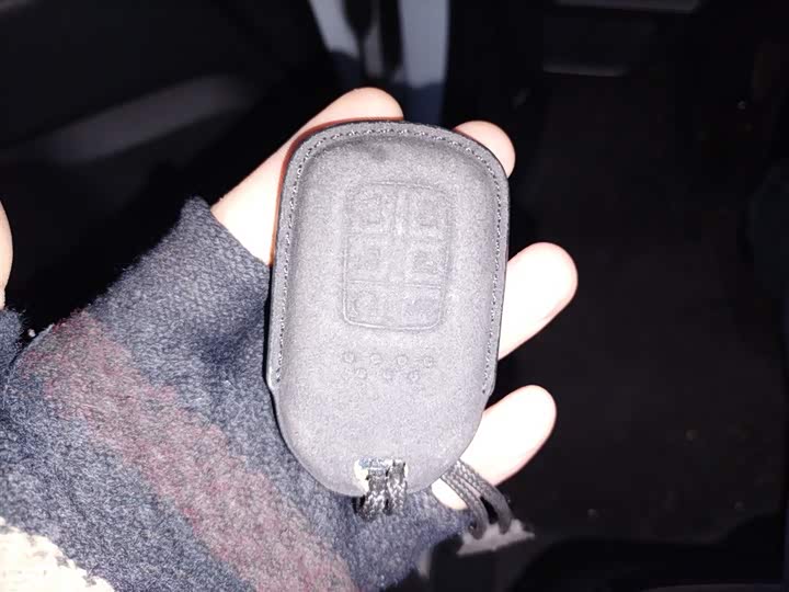 Фото 9 - Honda Elysion