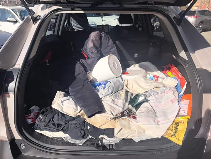 Фото 4 - Toyota Wildlander