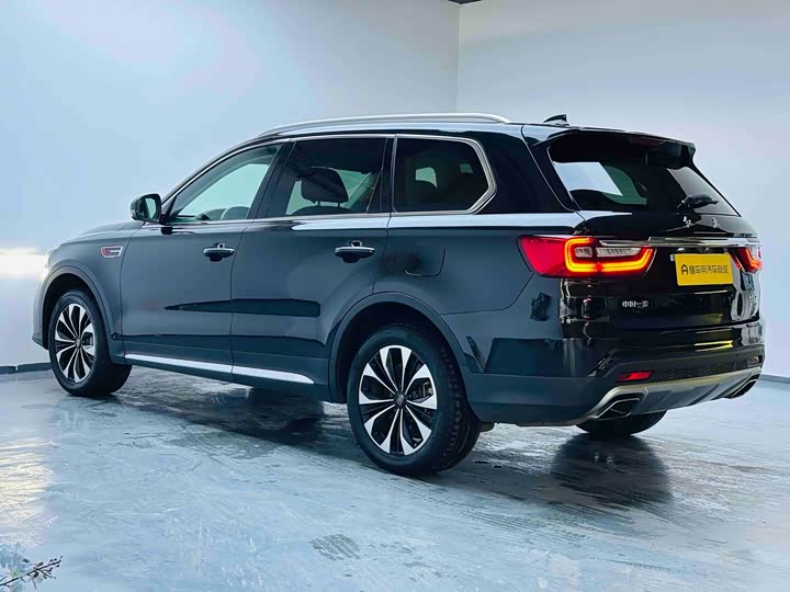 Фото 9 - Hongqi HS7